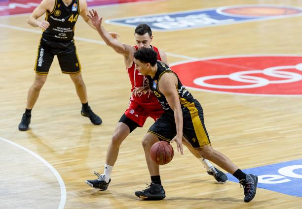 配套细则 配套细则